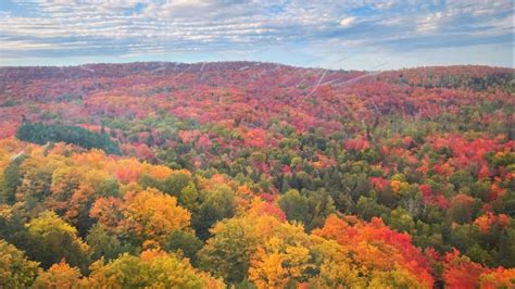 minnesota fall