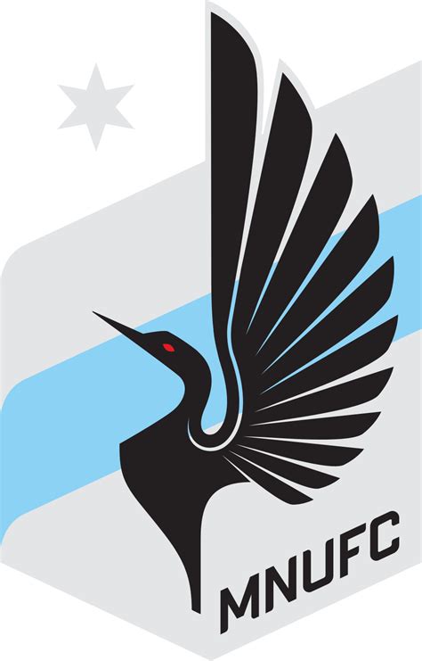 minnesota loons
