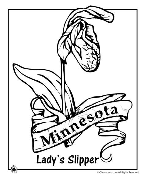 Minnesota State Flower Coloring Page   Minnesota State Flag Coloring Page - Minnesota State Flower Coloring Page