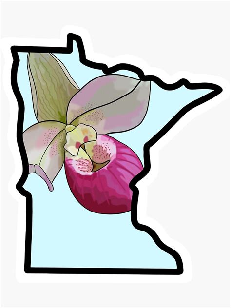 Minnesota State Flower Sticker Ndash Gingiber Minnesota State Flower Coloring Page - Minnesota State Flower Coloring Page