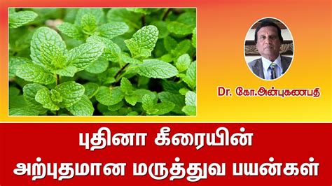 mint uses in tamil