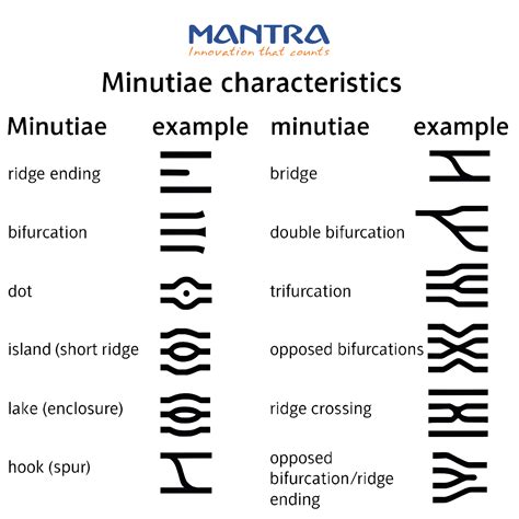 Minutiae Meaning