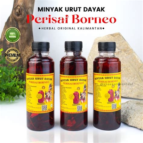 MINYAK URUT DAYAK - minyak urut dayak asli Kalimantan minyak urut dayak perisai borneo