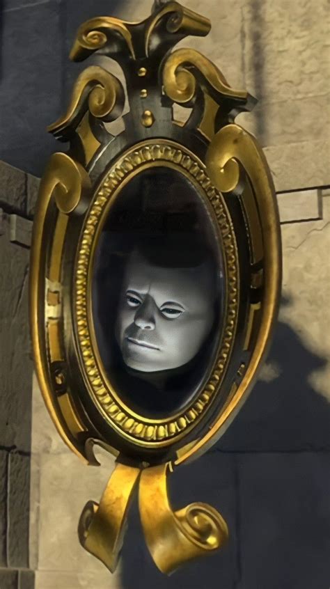 Read Online Mirror Mirror On The Wall Carleton University 