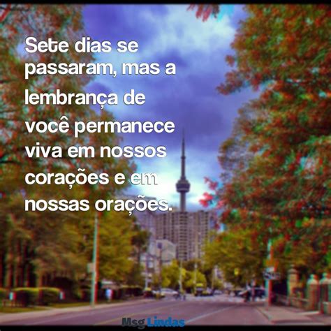 Missa 7 Dia