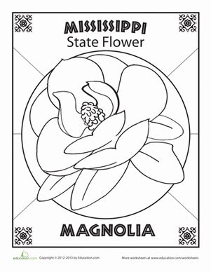 Mississippi State Flower Worksheet Education Com 4th Grade States Flower Worksheet - 4th Grade States Flower Worksheet
