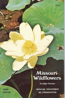 Download Missouri Wildflowers A Field Guide To Wildflowers Of Missouri And Adjacent Areas 