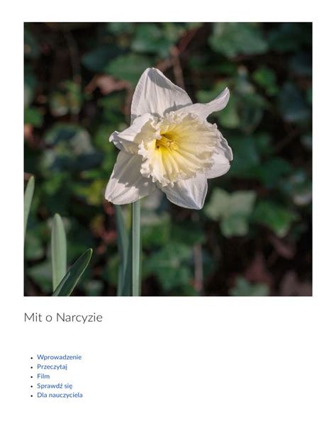 Mit O Narcyzie
