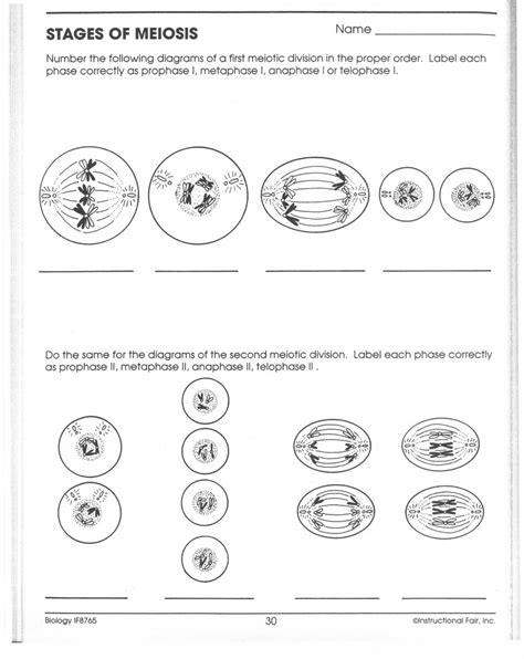 Mitosis Answer Key Diagram
