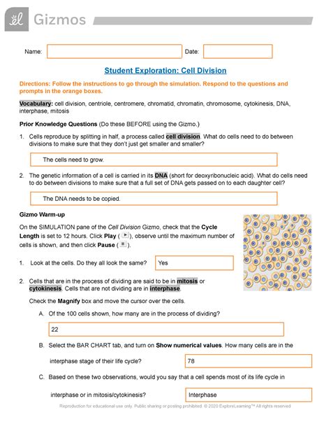 Mitosis Cell Division Gizmo Booklet Studocu Cell Division Gizmo Worksheet Answers - Cell Division Gizmo Worksheet Answers