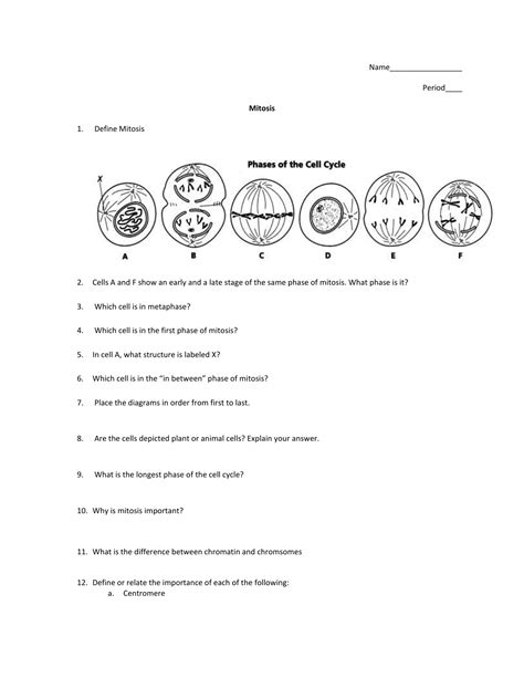 Mitosis Questions Practice Cell Division Khan Academy Cell Division Mitosis Worksheet Answers - Cell Division Mitosis Worksheet Answers