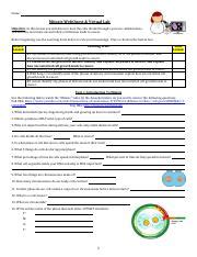Mitosis Webquest And Virtual Lab Answer Key