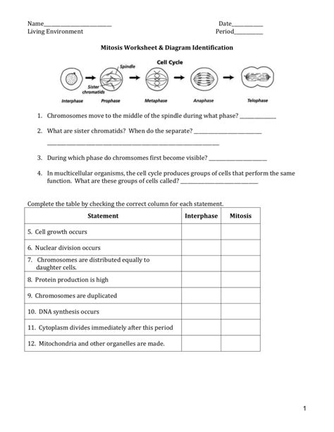 Read Online Mitosis Questions And Answers 