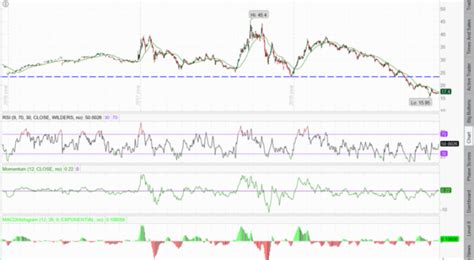 Chewy Inc. Cl A balance sheet, income state