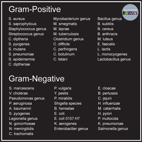 mlt microbiology study guide