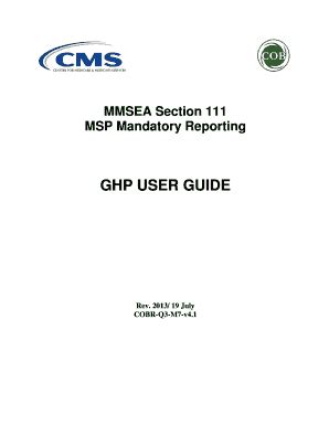 Read Mmsea Section 111 Reporting User Guide 