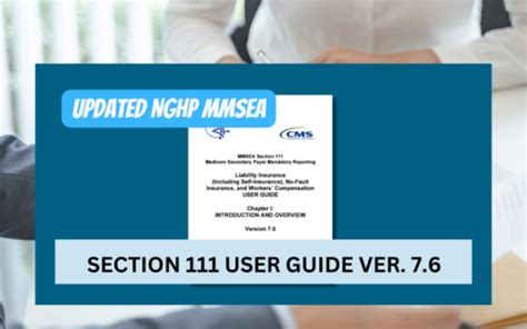 Read Mmsea Section 111 Reporting User Guide 