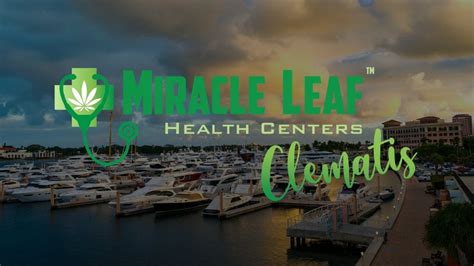 mmu florida