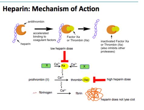 Moa Of Heparin