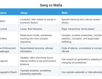 Mob Vs Mafia