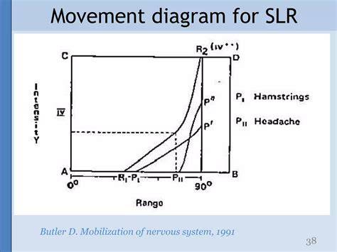 mobilization of the nervous system