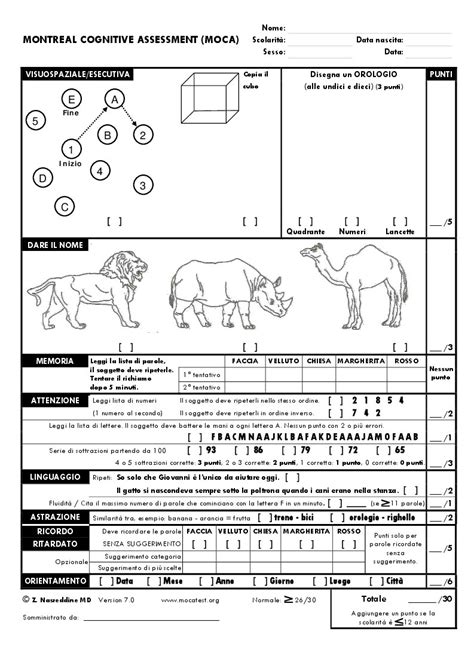 Moca Assessment Pdf