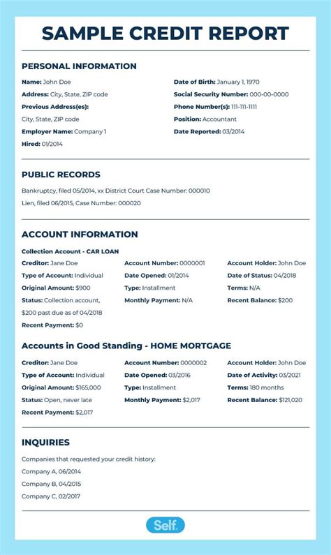 mock credit report