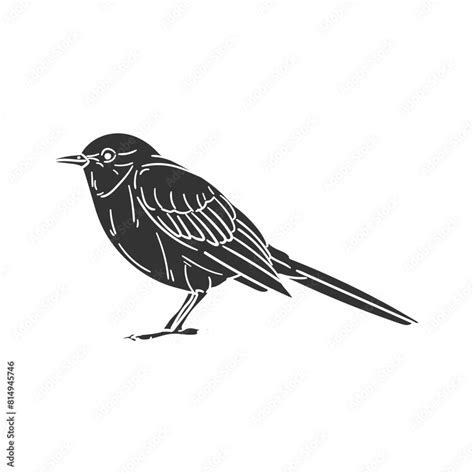 Mockingbird As A Symbol