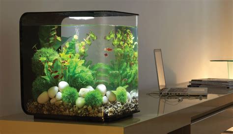 model aquarium dan harganya