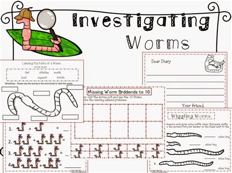 Model Engineer Worm Comparison Worksheet Answers - Worm Comparison Worksheet Answers