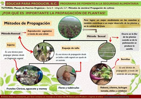 modelado de la propagacion de ondas sismicas medi