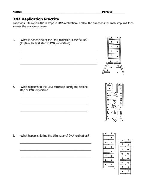 Modeling Dna Replication Lab Answers
