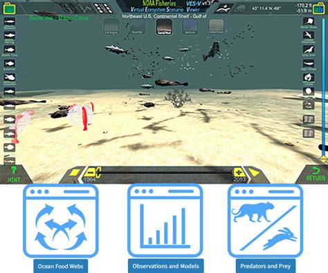 Modeling Marine Ecosystems With Virtual Reality Noaa X27 Marine Ecosystems Worksheet - Marine Ecosystems Worksheet
