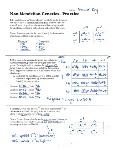 Modern Genetics Answer Key
