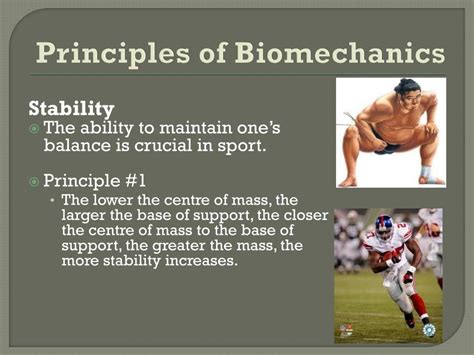 Modern Science Of Biomechanics A Calorie Is A Science Calorie - Science Calorie