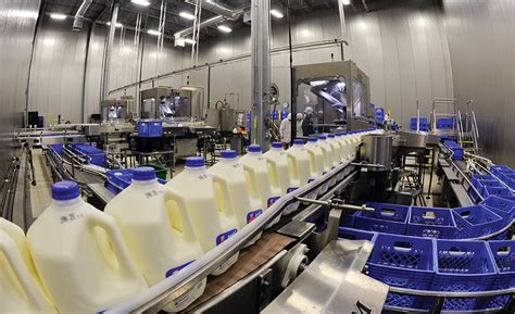 Download Modern Technology Of Milk Processing And Dairy Products 