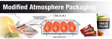 Modified Atmosphere And Active Packaging Technologies Contemporary Food Engineering