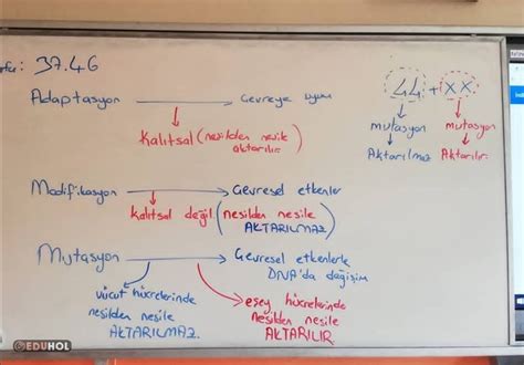 modifikasyon yapmak istesem  Forum. 