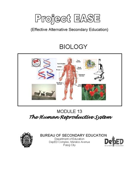 Module 13 The Human Reproductive System Bse