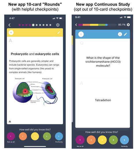 module 3.1 Flashcards by Holly Buff Brainscape