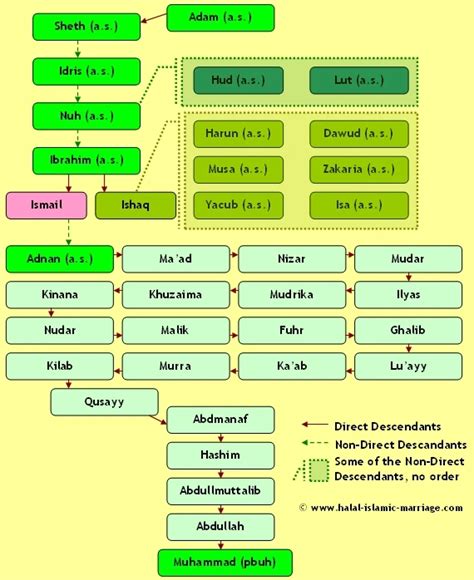 Mohammed Islam Wiki
