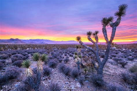 mojave utah