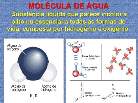 Molécula De água