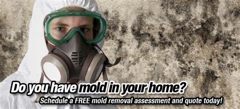 Mold Remediation Quotes