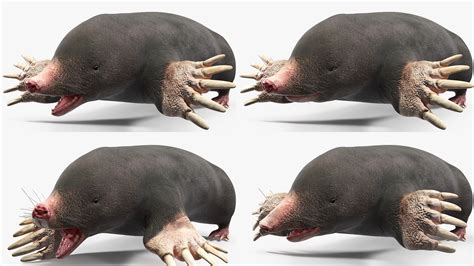 mole 4d | Mole 4D Casing INFINIX SMART 6 PLUS