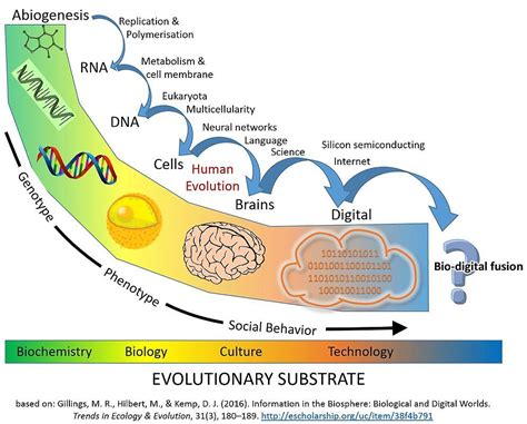 Molecular And Cellular Evolution Of The Primate Dorsolateral Types Of Changes In Science - Types Of Changes In Science
