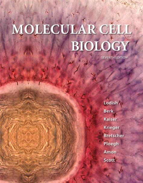 molecular cell biology 7th edition solution manual