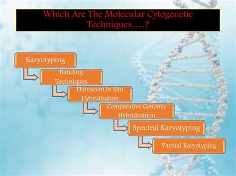 Molecular Cytogenetics Techniques Ppt