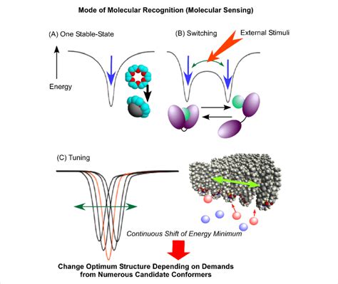 Molecular Recognition Mechanisms