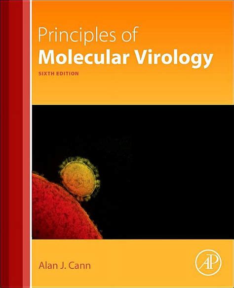Molecular Virology Paperback